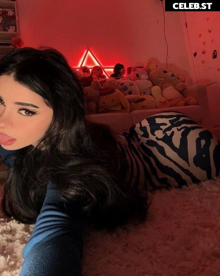 Avivasofia Oxythoughtin misopacketbae Image 23828648