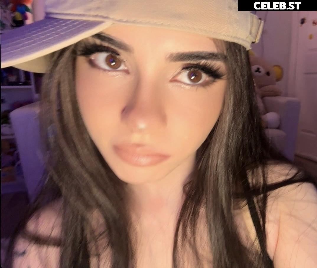 Avivasofia Oxythoughtin misopacketbae Image 23828193