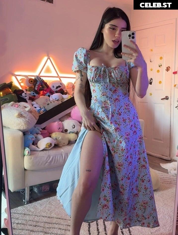 Avivasofia Oxythoughtin misopacketbae Image 23828159