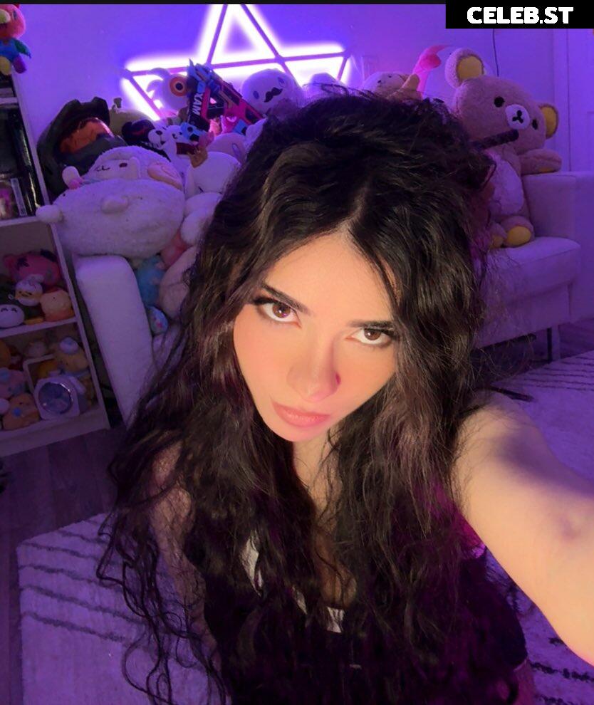 Avivasofia Oxythoughtin misopacketbae Image 23828147