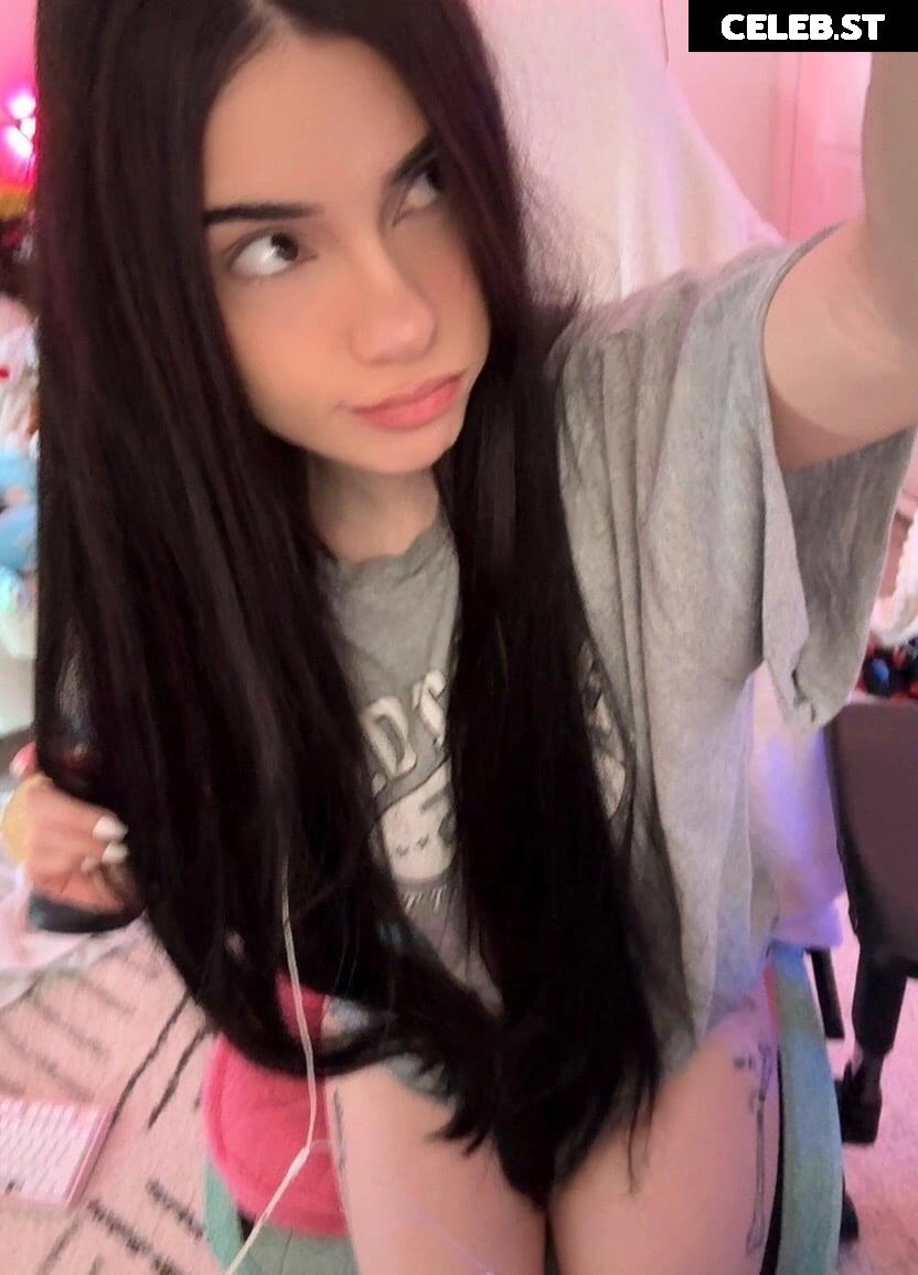 Avivasofia Oxythoughtin misopacketbae Image 23828173