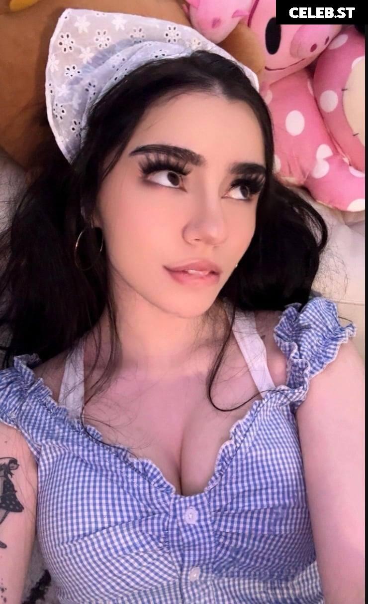 Avivasofia Oxythoughtin misopacketbae Image 23828019