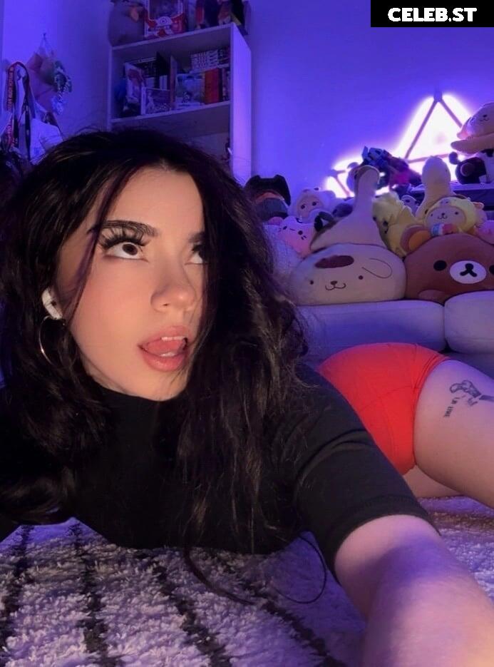 Avivasofia Oxythoughtin misopacketbae Image 23828036