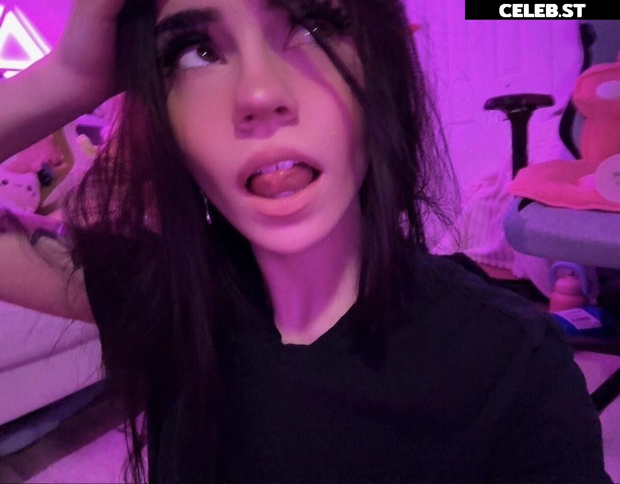 Avivasofia Oxythoughtin misopacketbae Image 23828052
