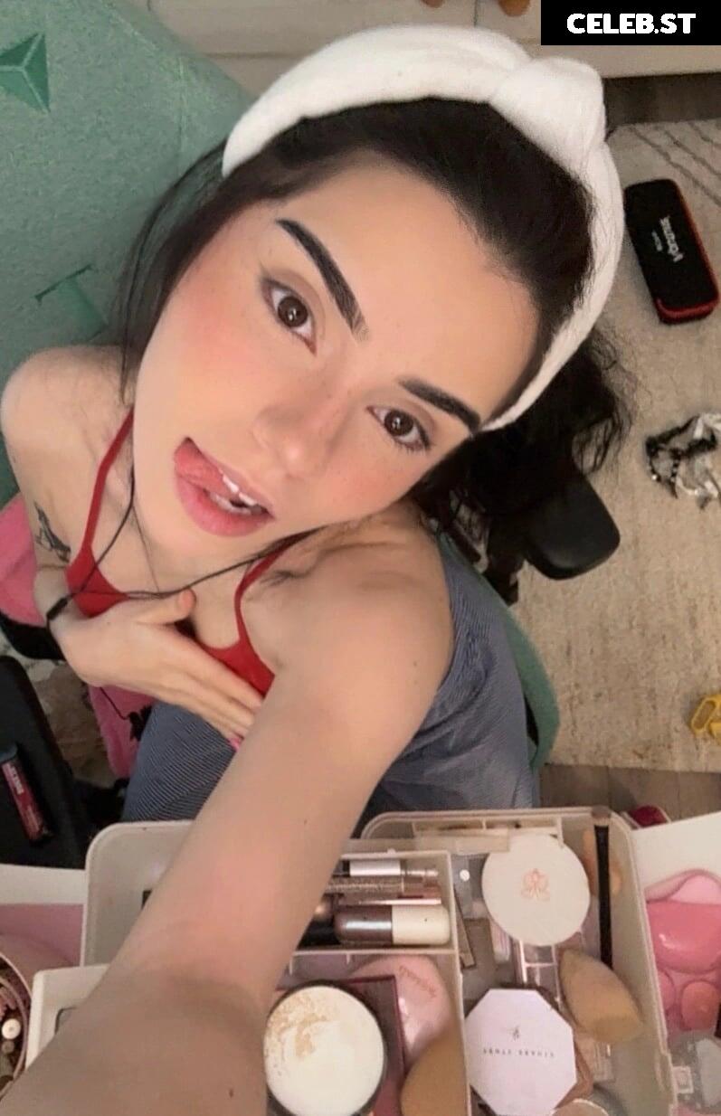 Avivasofia Oxythoughtin misopacketbae Image 23828056