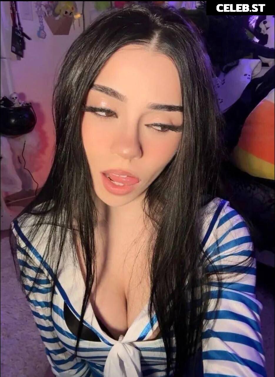 Avivasofia Oxythoughtin misopacketbae Image 23828359