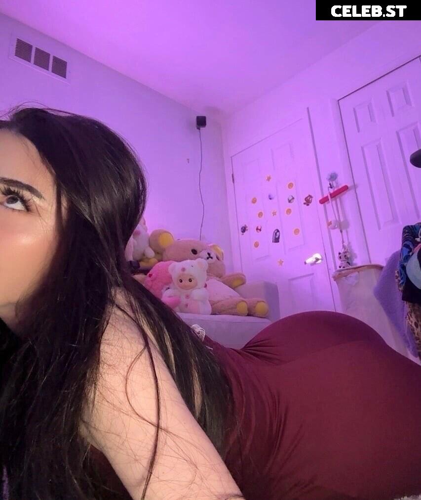 Avivasofia Oxythoughtin misopacketbae Image 23828341