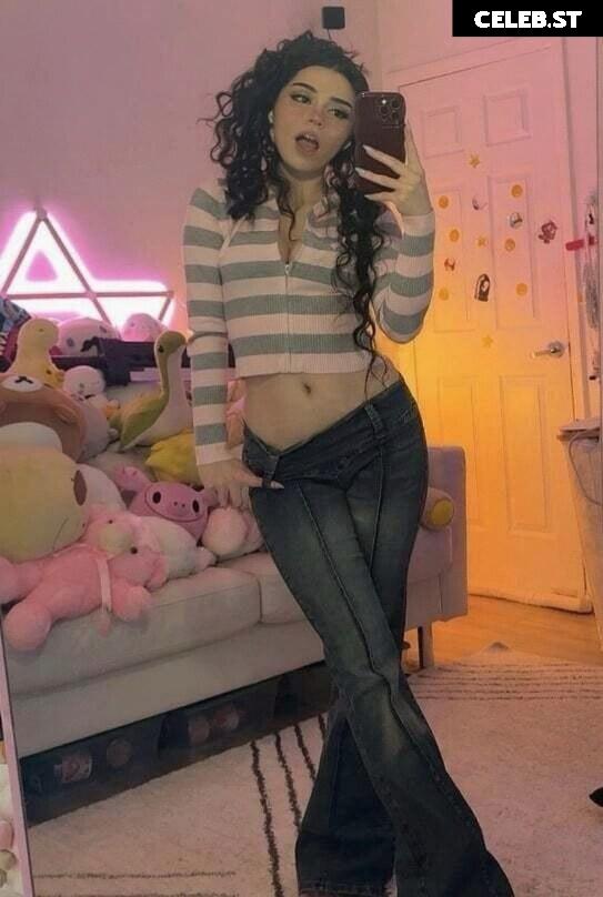 Avivasofia Oxythoughtin misopacketbae Image 23828261