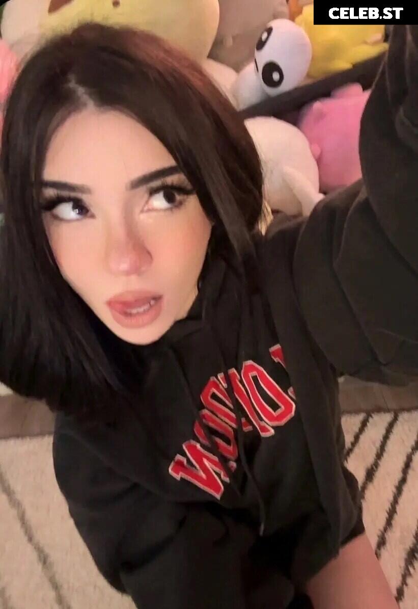 Avivasofia Oxythoughtin misopacketbae Image 23828252