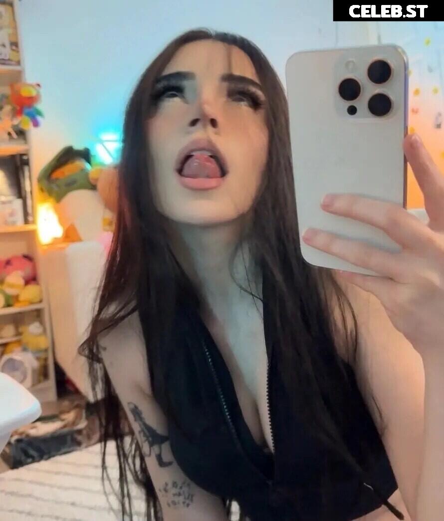 Avivasofia Oxythoughtin misopacketbae Image 23828242