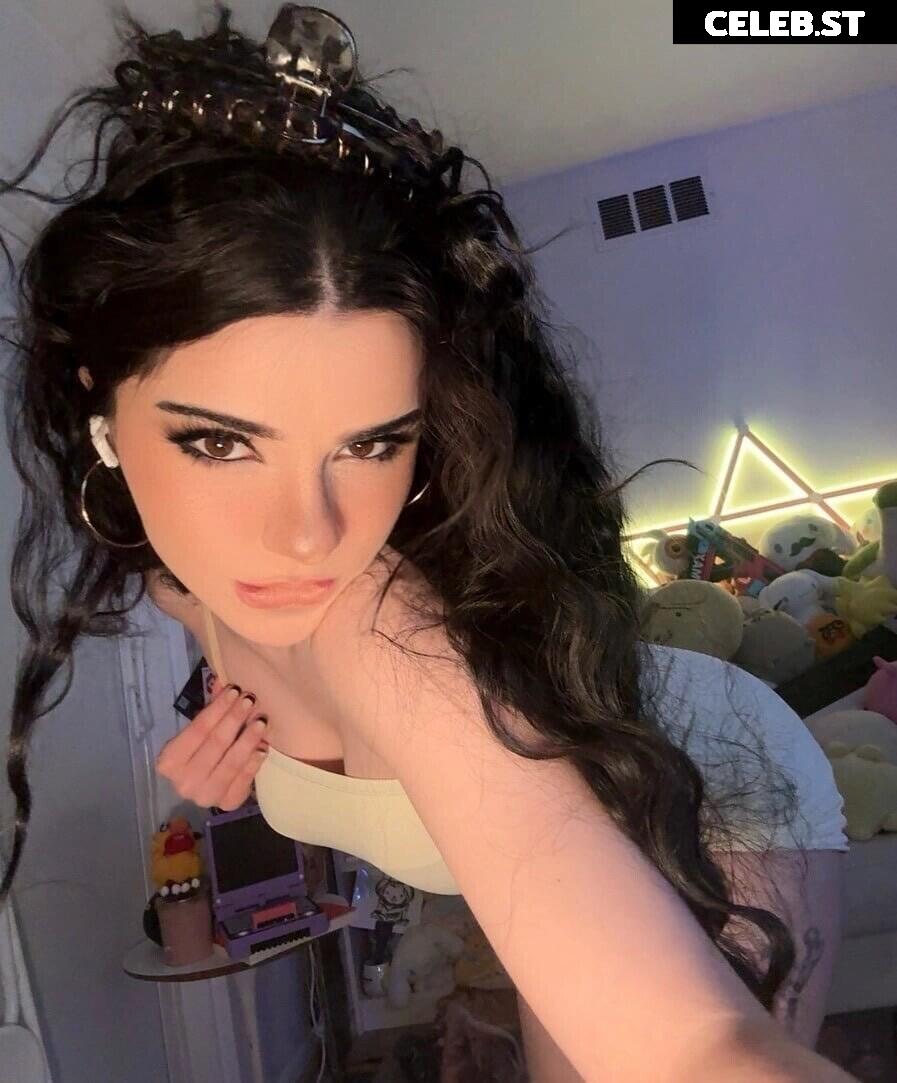 Avivasofia Oxythoughtin misopacketbae Image 23828274