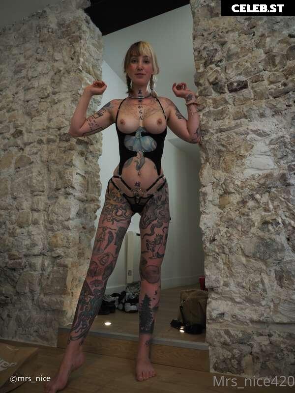 mrs_nice Image 2382544