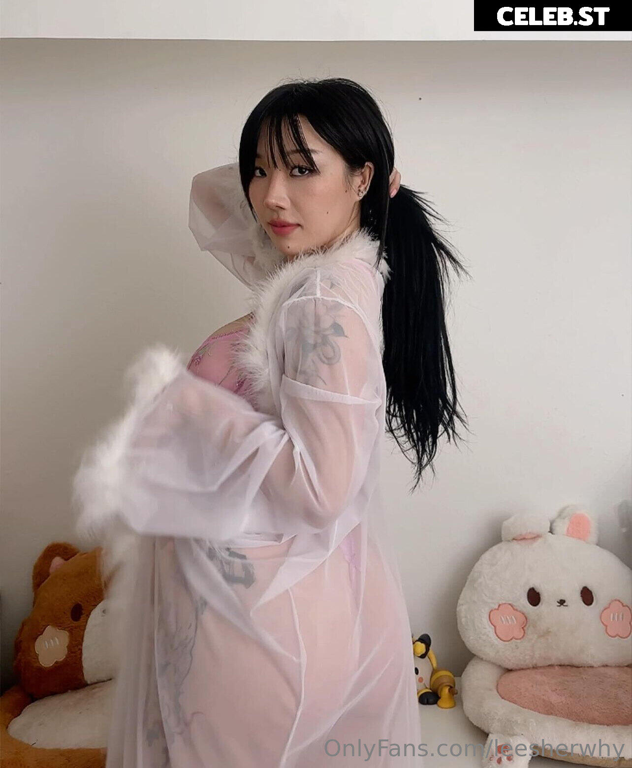 Leesherwhy Image 23825208