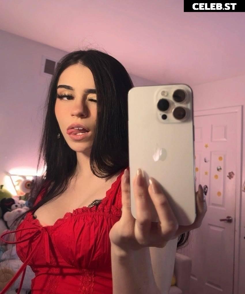 Avivasofia Oxythoughtin misopacketbae Image 23827993