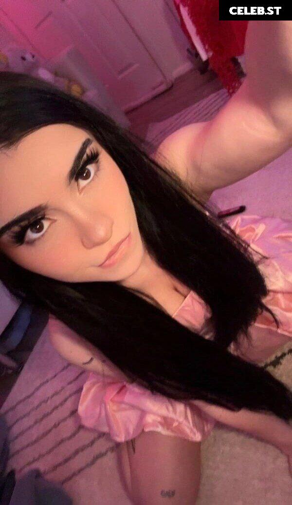 Avivasofia Oxythoughtin misopacketbae Image 23827998