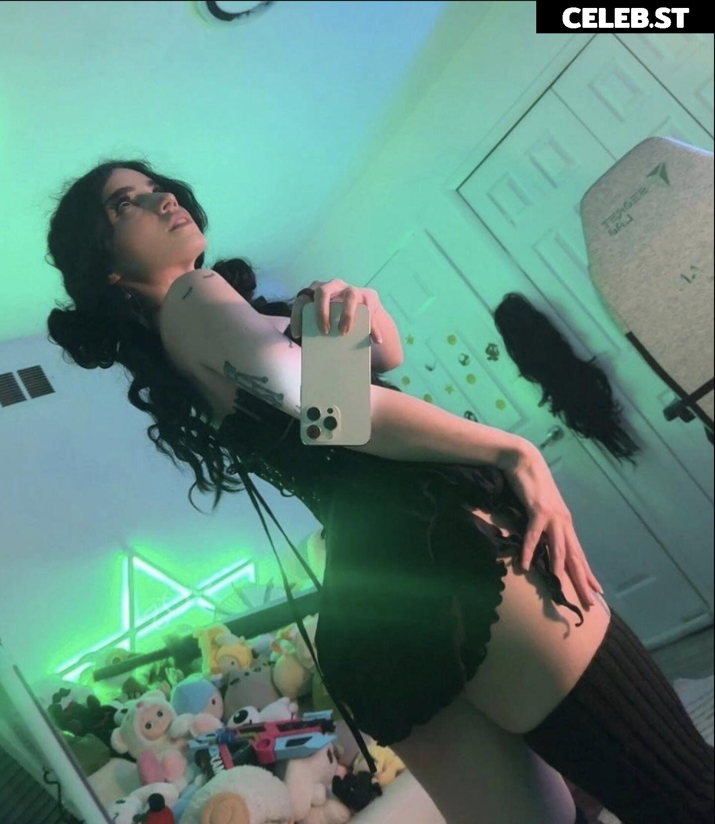 Avivasofia Oxythoughtin misopacketbae Image 23827915