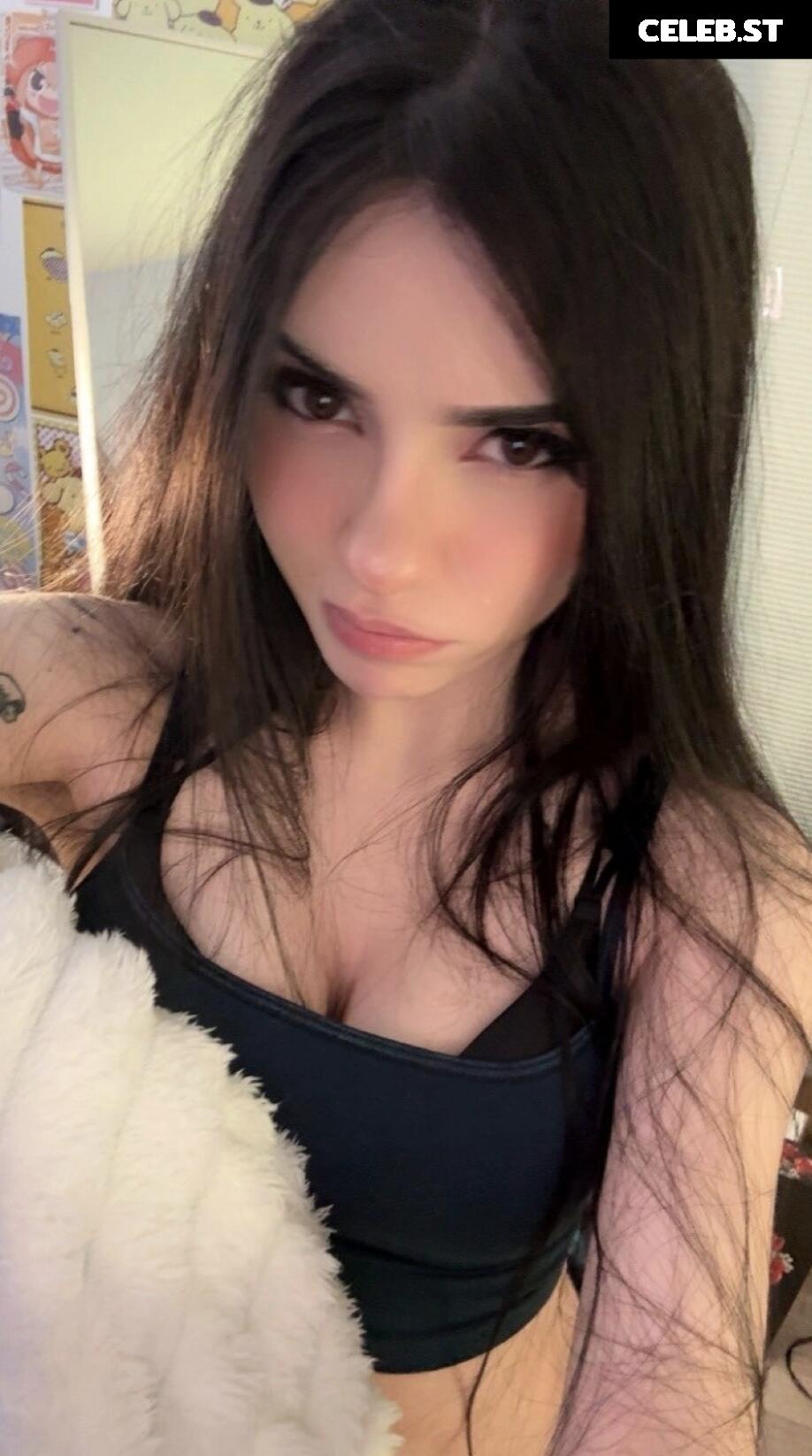 Avivasofia Oxythoughtin misopacketbae Image 23827934