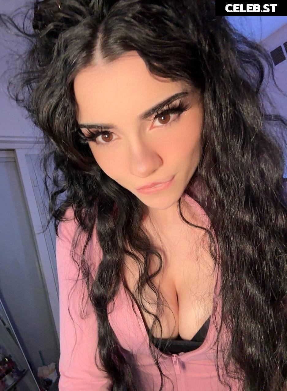 Avivasofia Oxythoughtin misopacketbae Image 23827976