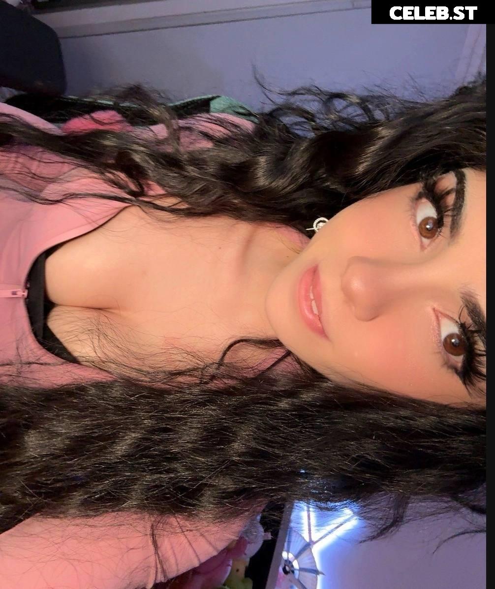 Avivasofia Oxythoughtin misopacketbae Image 23827974