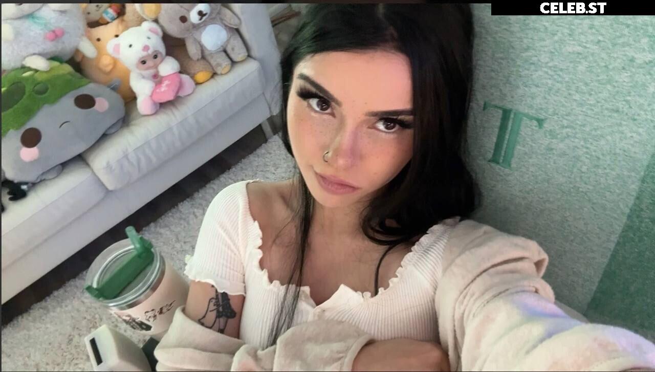 Avivasofia Oxythoughtin misopacketbae Image 23827827
