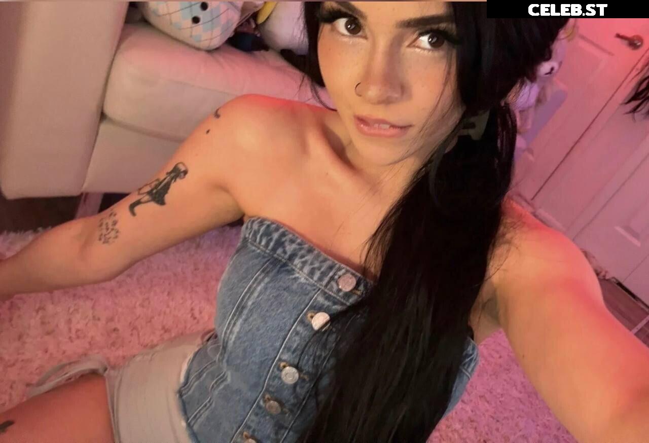 Avivasofia Oxythoughtin misopacketbae Image 23827832