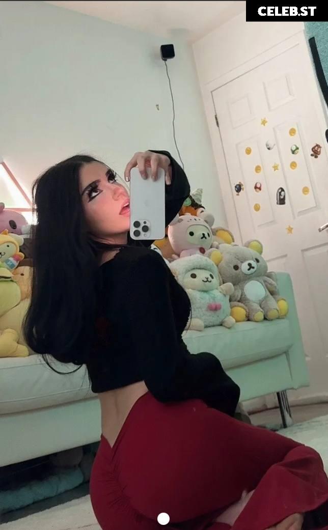 Avivasofia Oxythoughtin misopacketbae Image 23827861