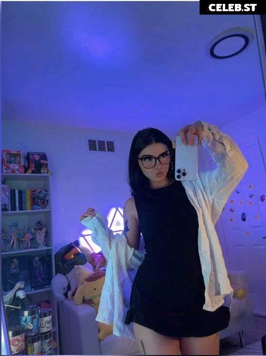 Avivasofia Oxythoughtin misopacketbae Image 23827864