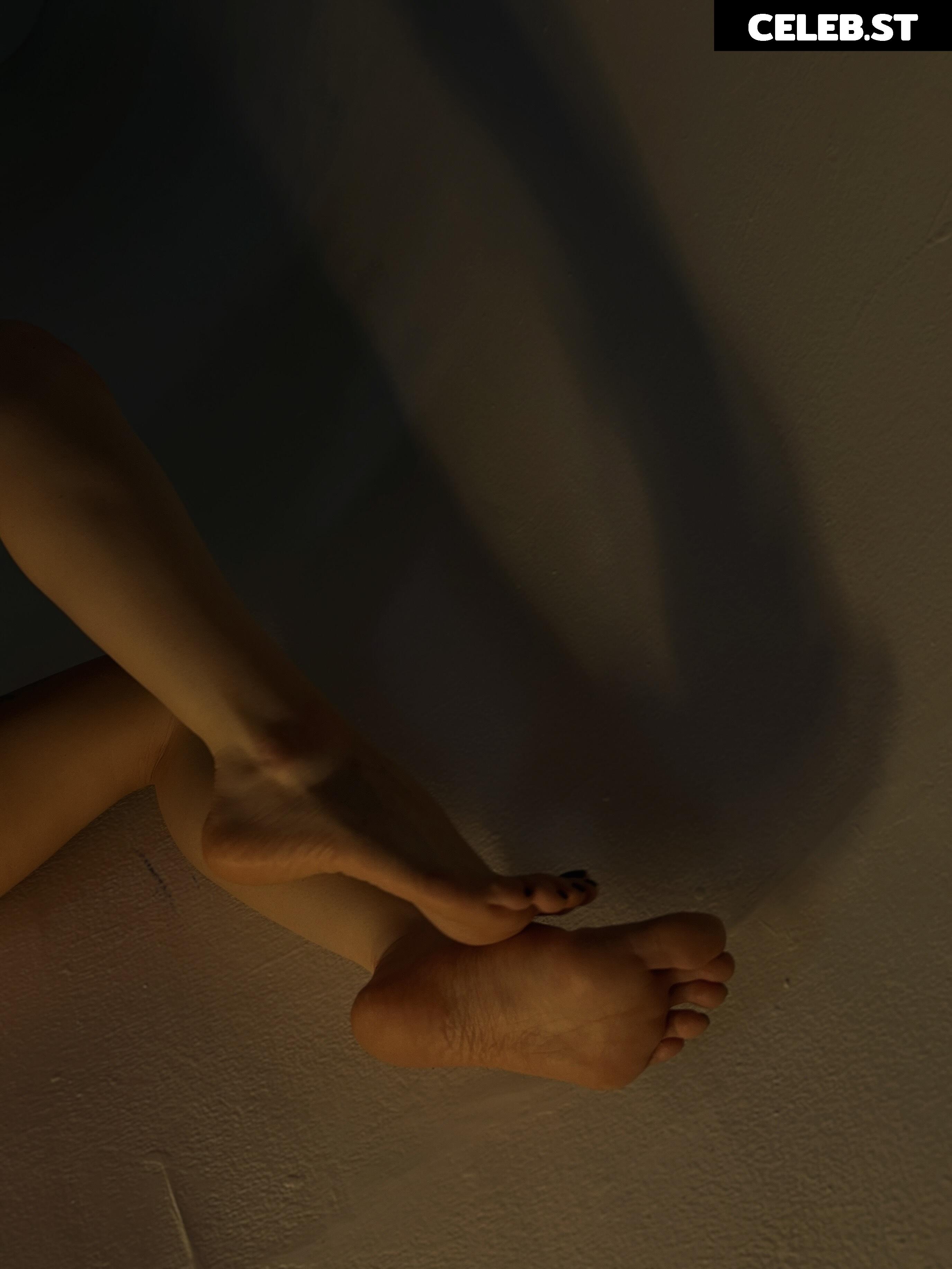 Sorabi Image 23826663