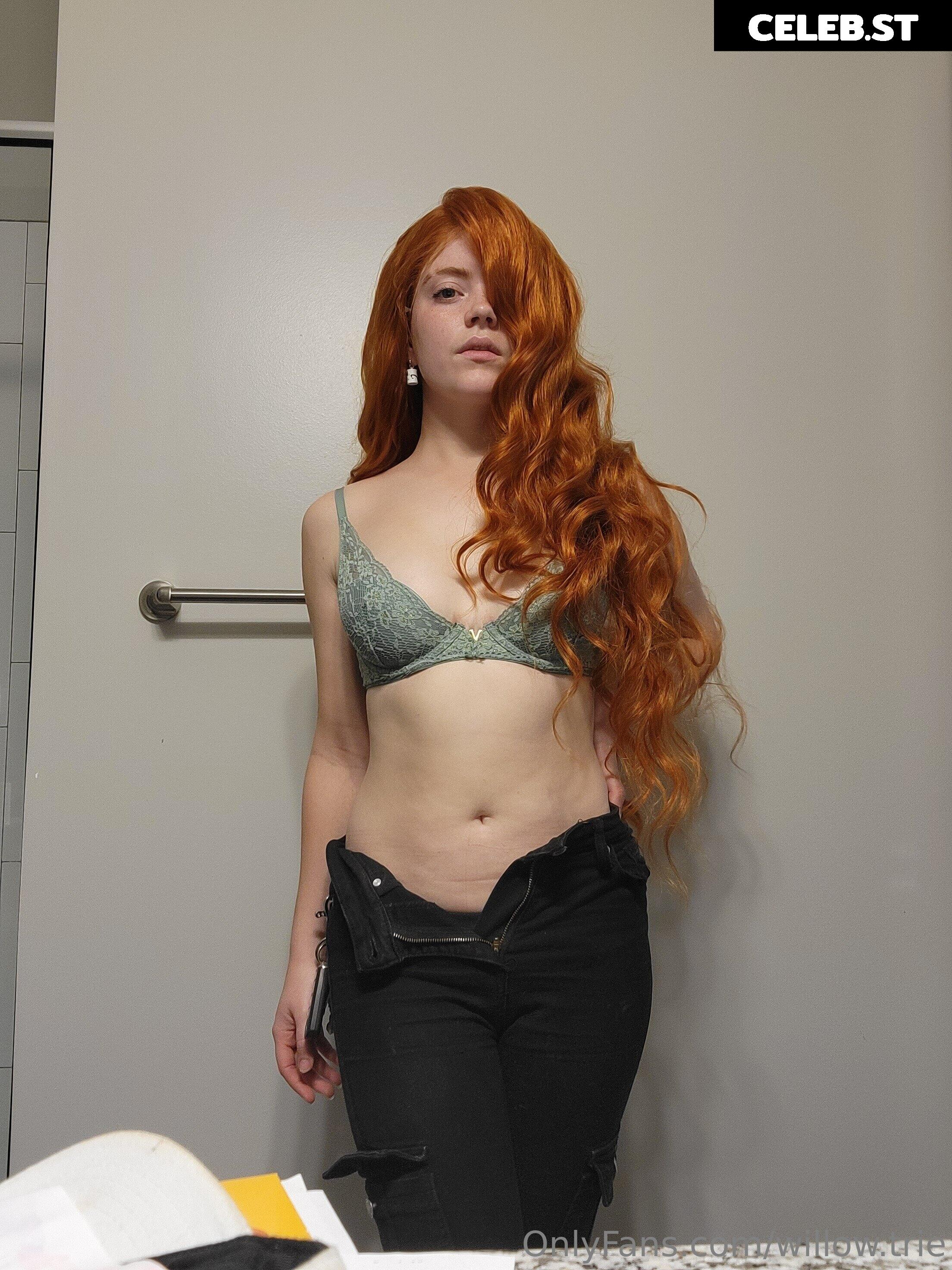 Willow Trie Image 2383342