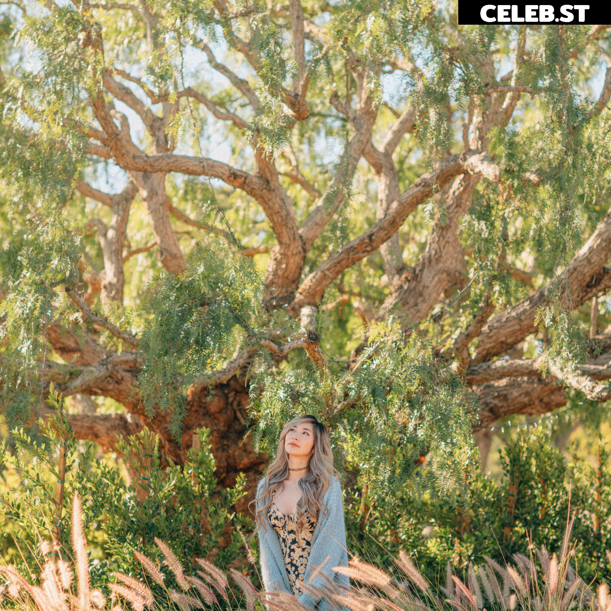 Leena (Aileena) Xu Image 23832271