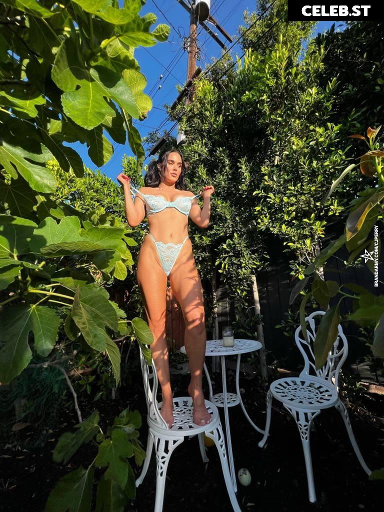 WWE Lana / CJ Perry Image 23839564