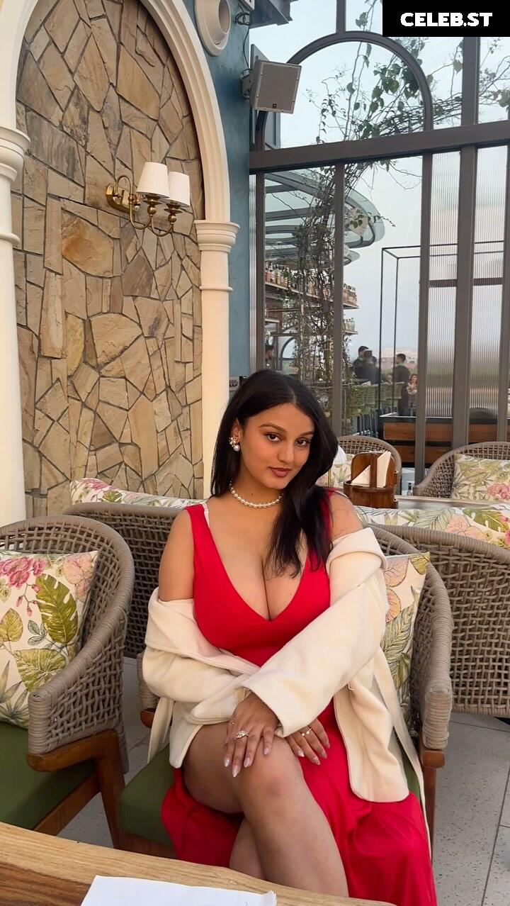 @_ayushaaaa__, Ayusha, busty Indian influencer Image 23895505