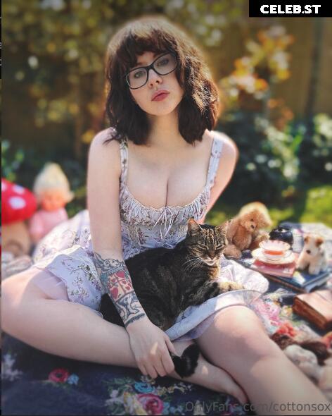Alice Cotton Sox Image 23885842