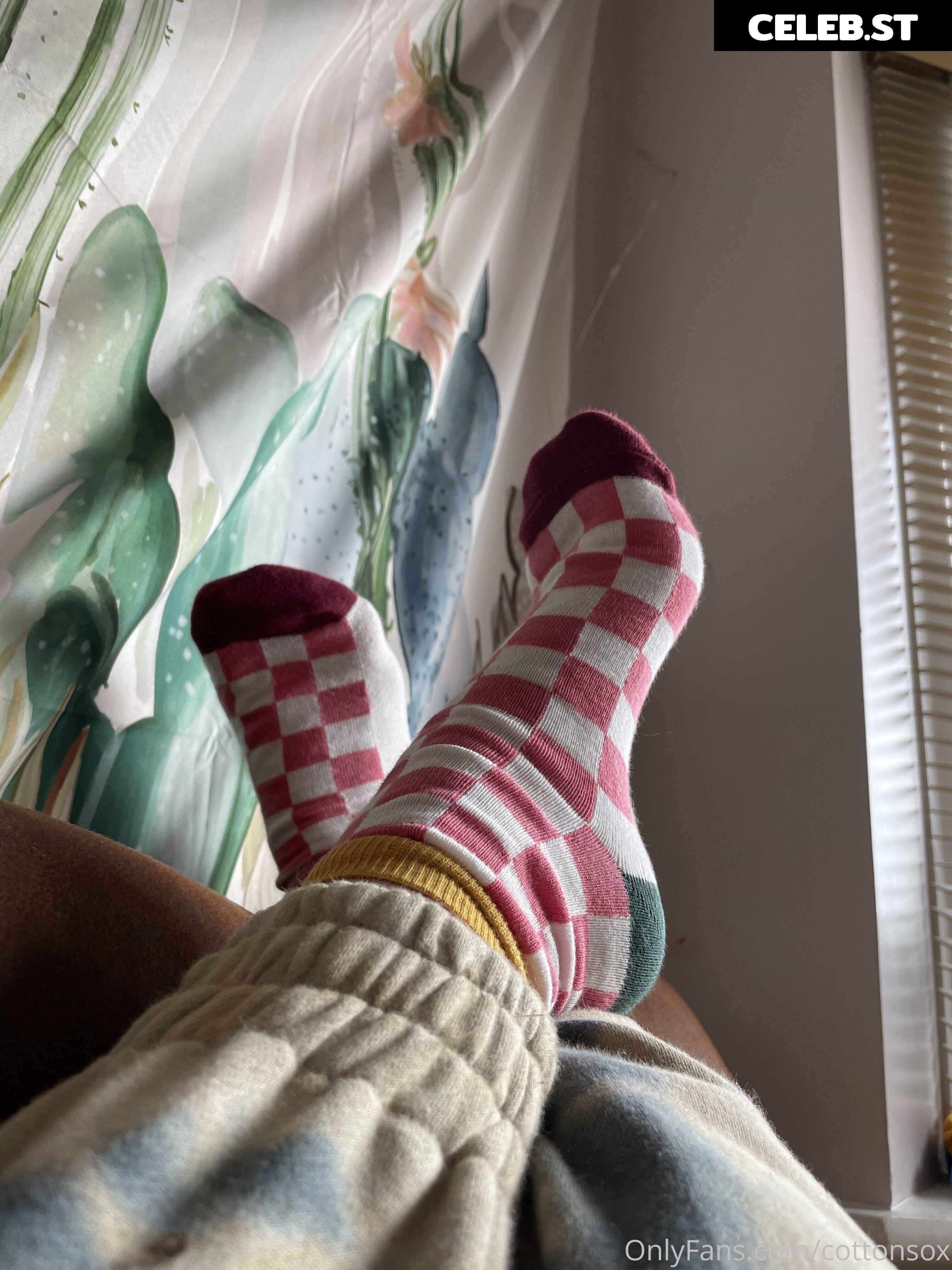 Alice Cotton Sox Image 23886014