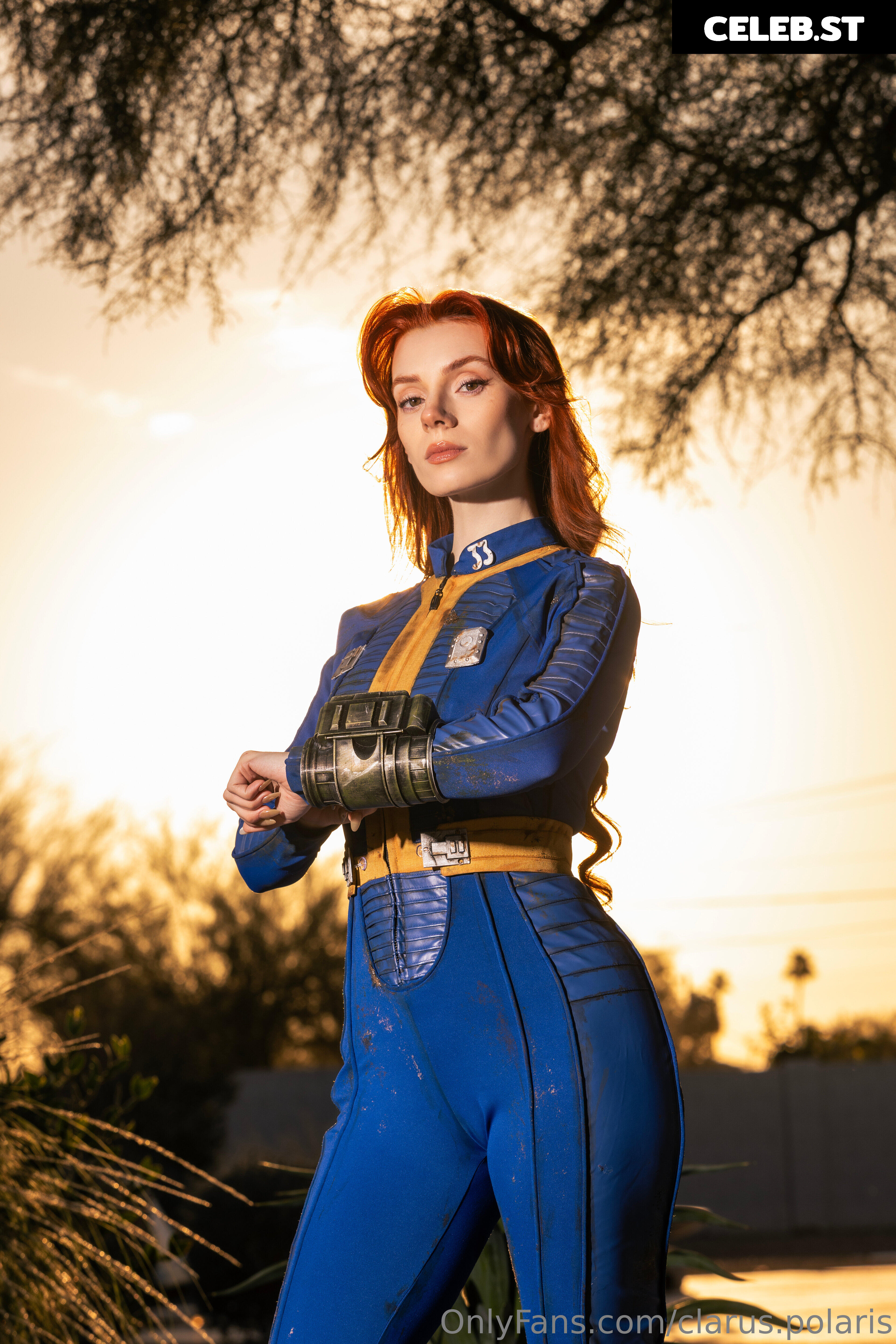 Clarus Polaris Image 23880442