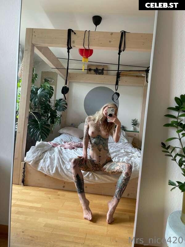 mrs_nice Image 2375857