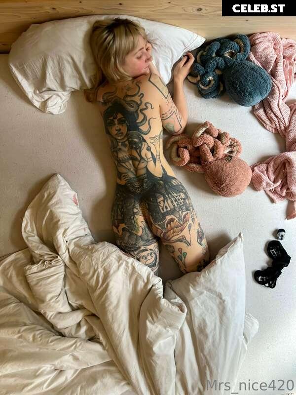 mrs_nice Image 2377324