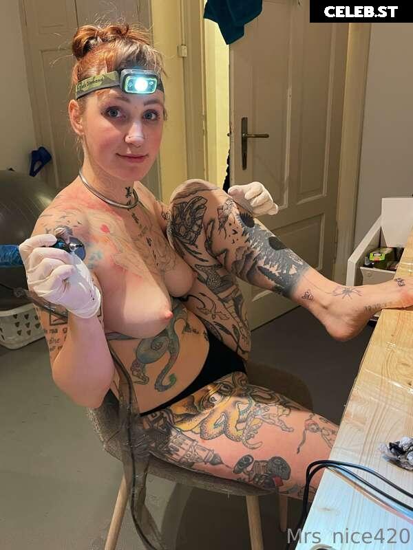 mrs_nice Image 2374955