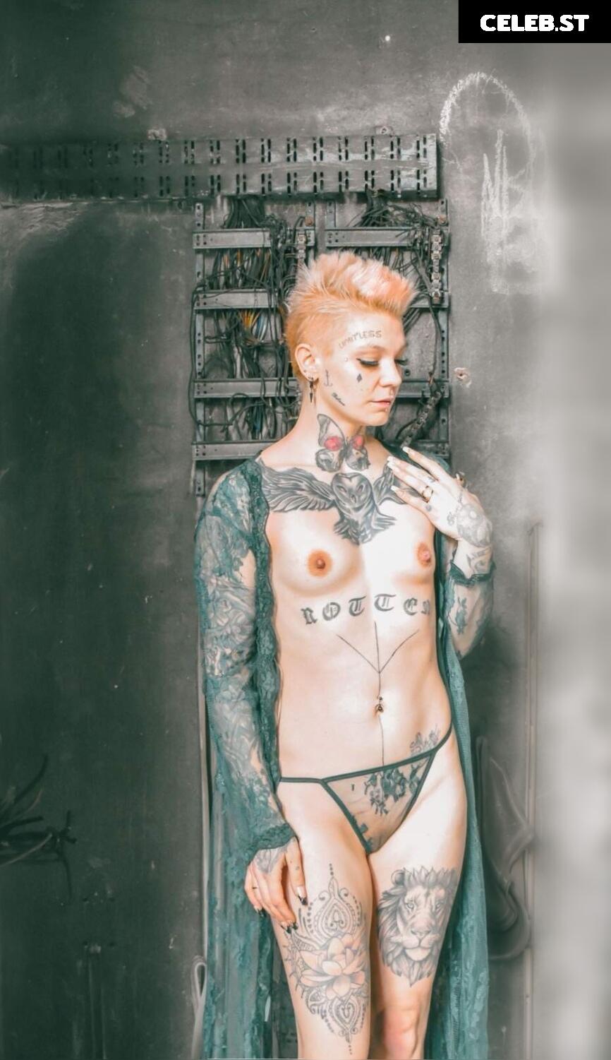 Eule-in-Paradise Image 2371030