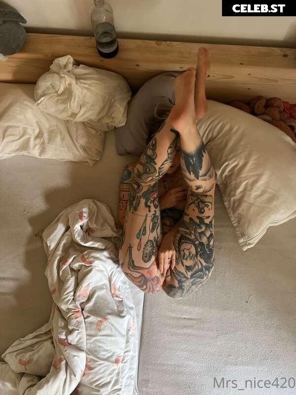 mrs_nice Image 2371256