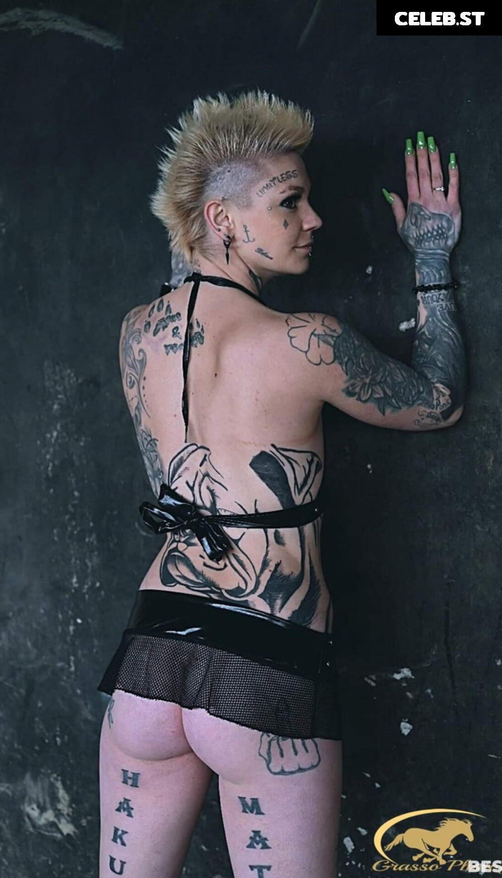 Eule-in-Paradise Image 2371217