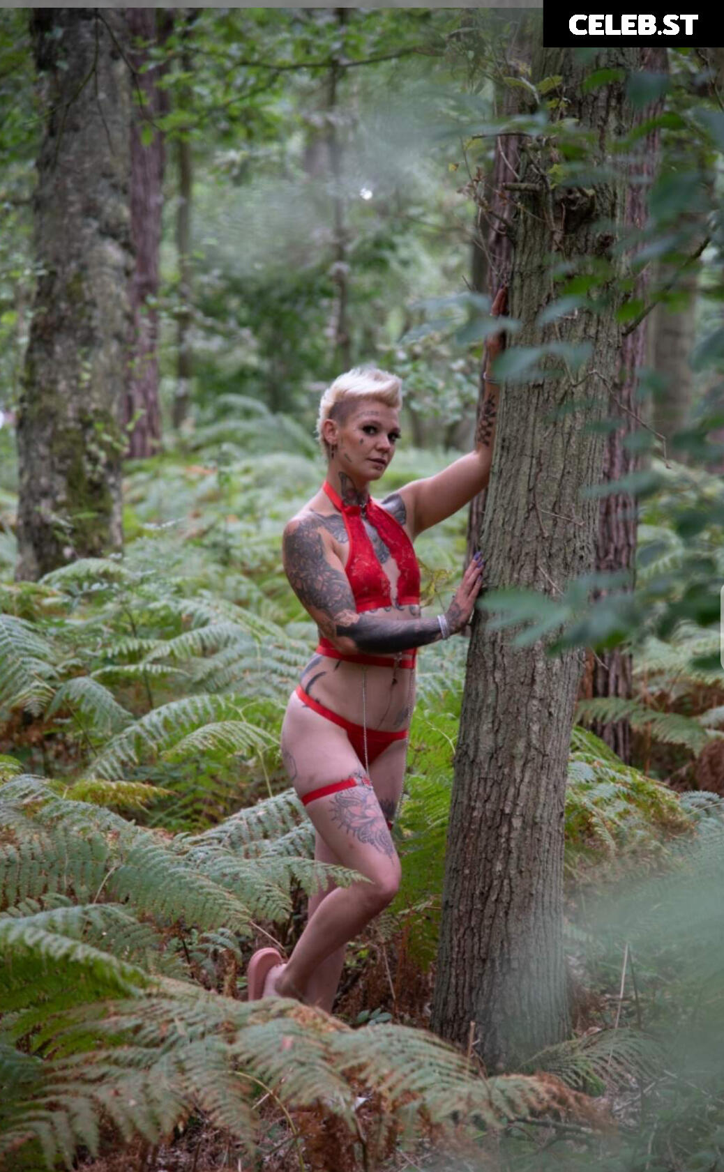 Eule-in-Paradise Image 2371239