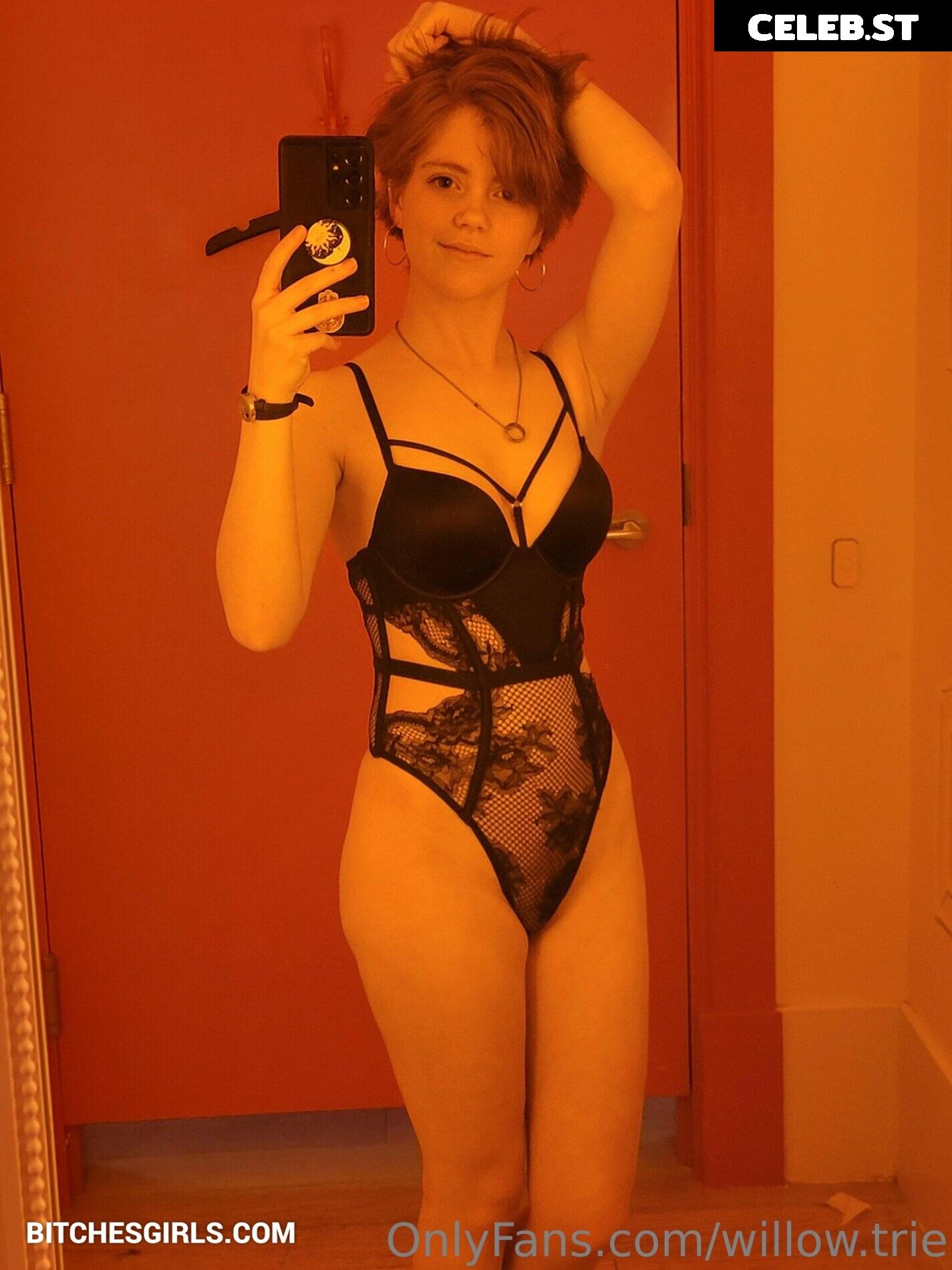 Willow Trie Image 2372421