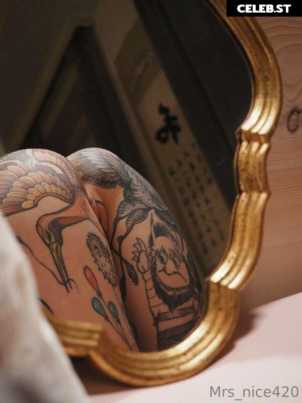 mrs_nice Image 2372046