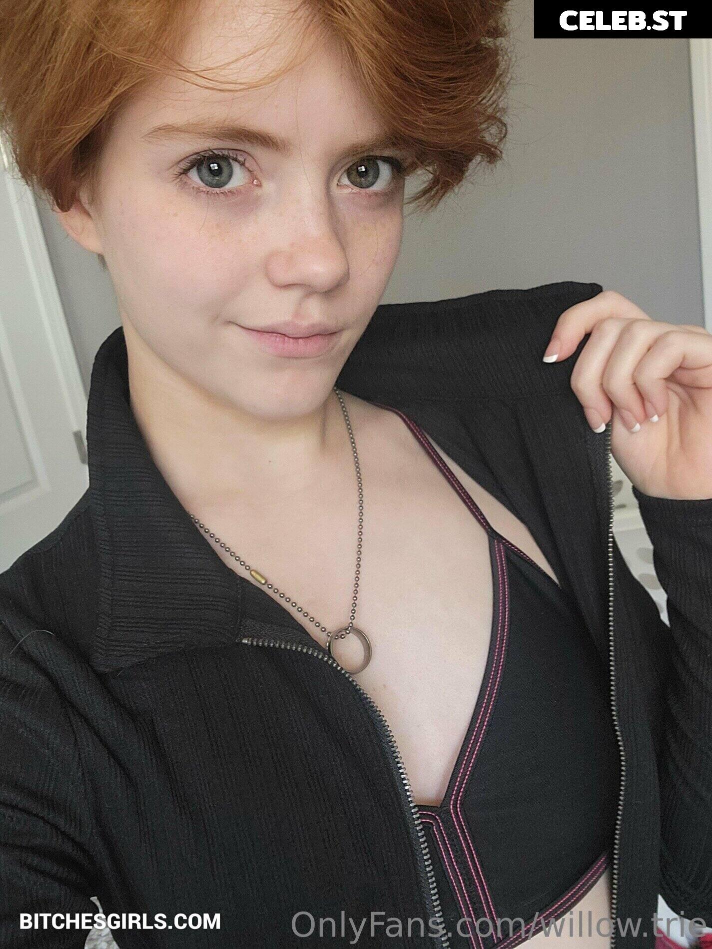 Willow Trie Image 2373183