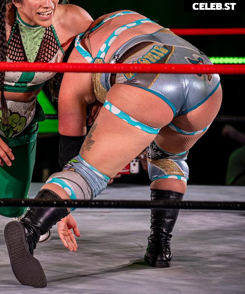 Women of Professional Wrestling Image 23668819
