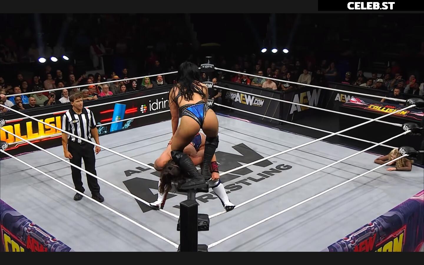 Women of Professional Wrestling Image 23668006