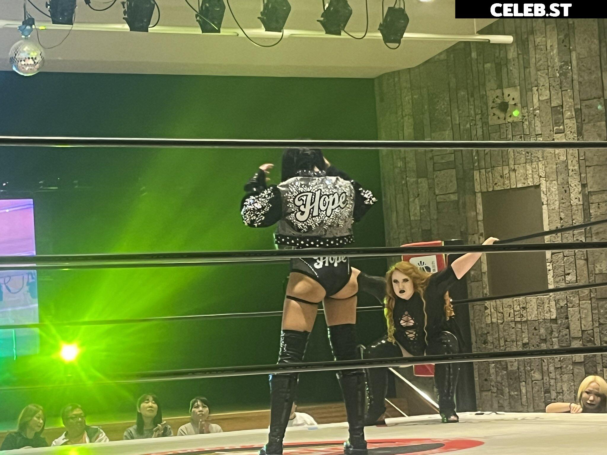 Women of Professional Wrestling Image 23665912