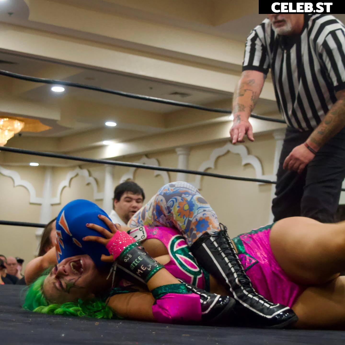 Women of Professional Wrestling Image 23665586