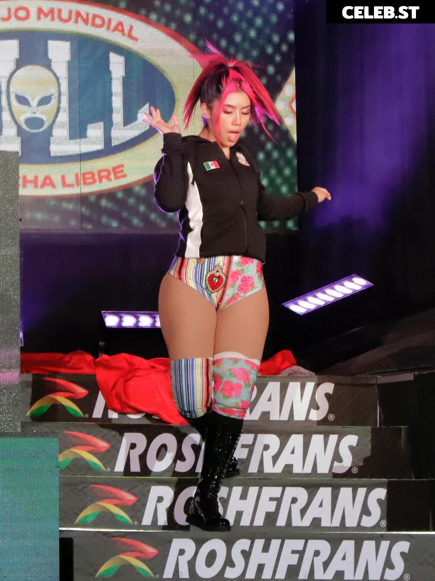 Women of Professional Wrestling Image 23665440